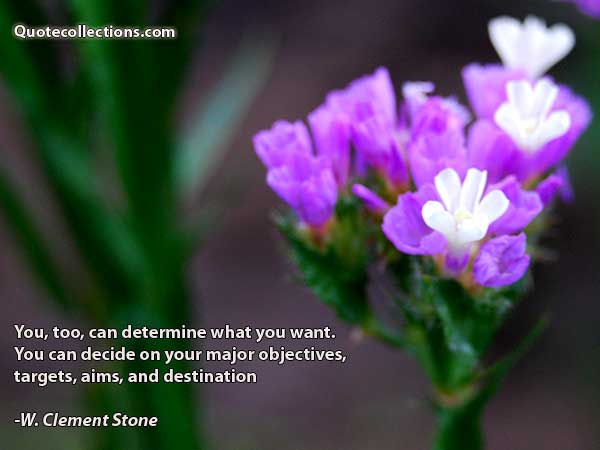W.Clement Stone Quotes1